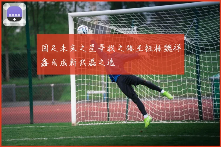 国足未来之星寻找之路王钰栋魏祥鑫或成新武磊之选
